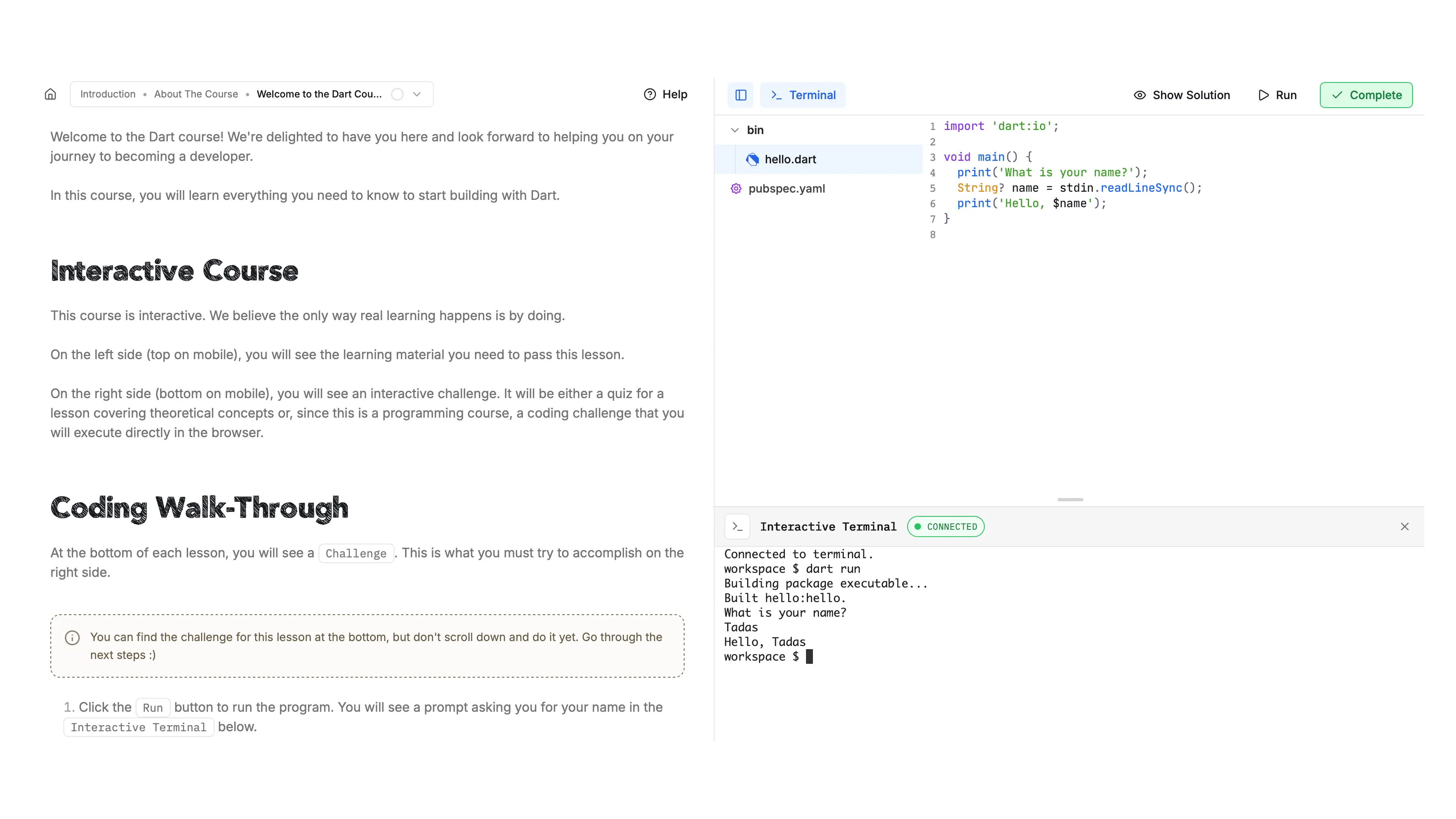 Dart Course Screenshot