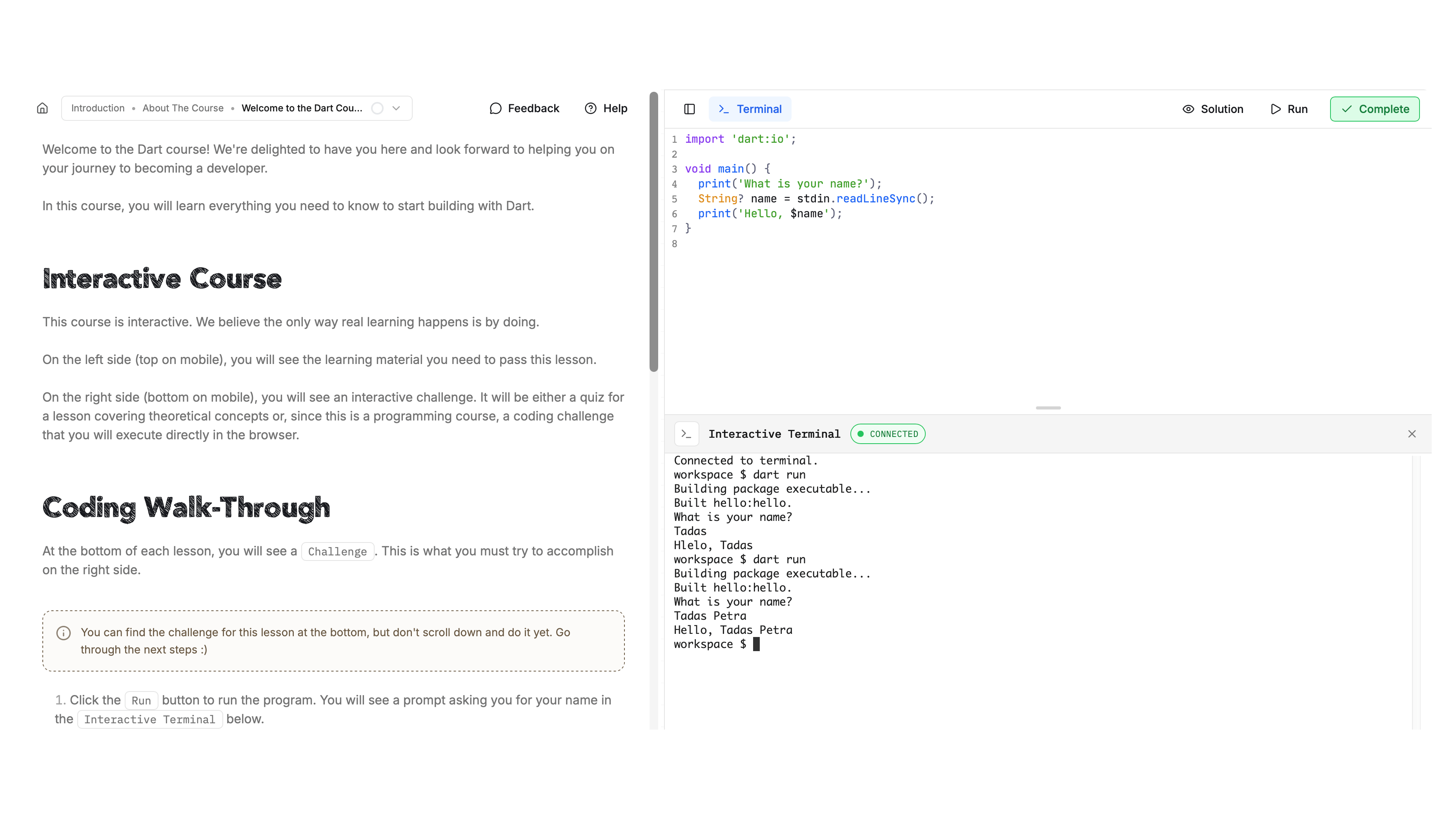 Interactive Terminal